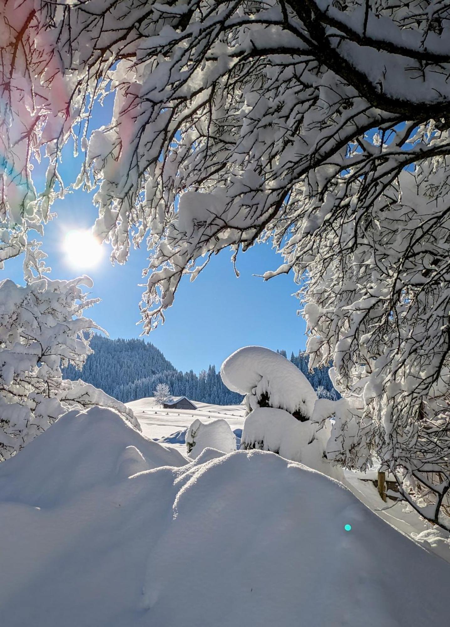 Apartment Stuimaendle Obermaiselstein
